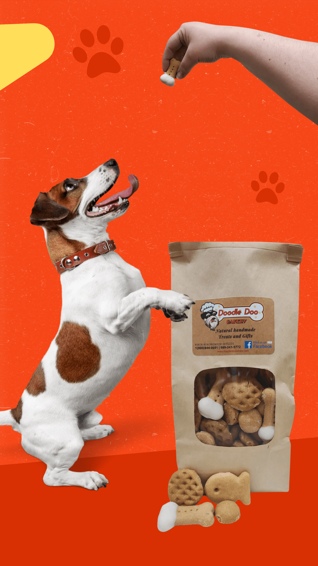 Homemade Dog Treats