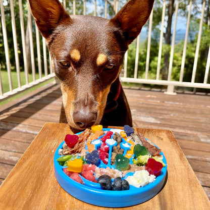 Lick Mat for Dogs