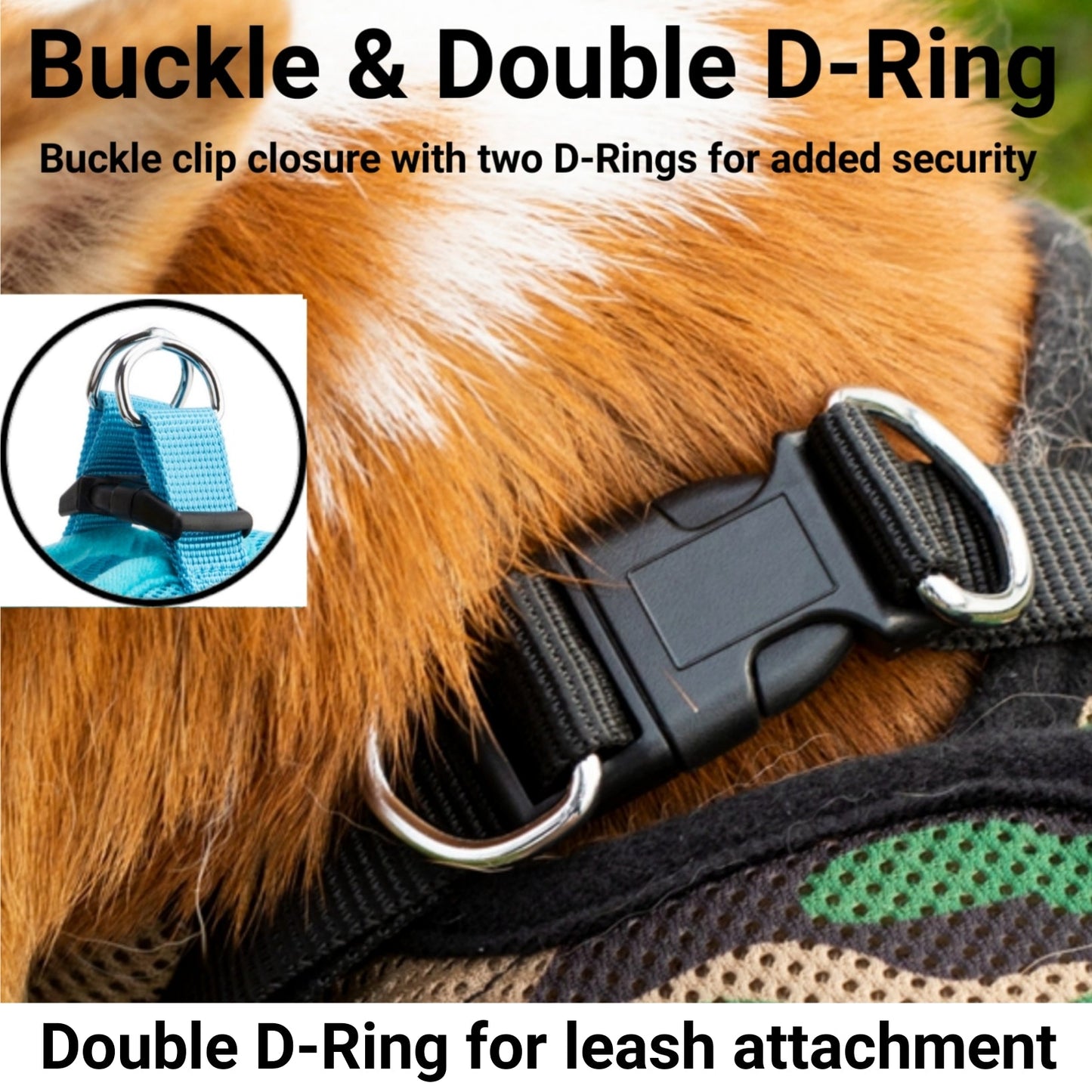 Soft Mesh Pet Harness with Matching Leash