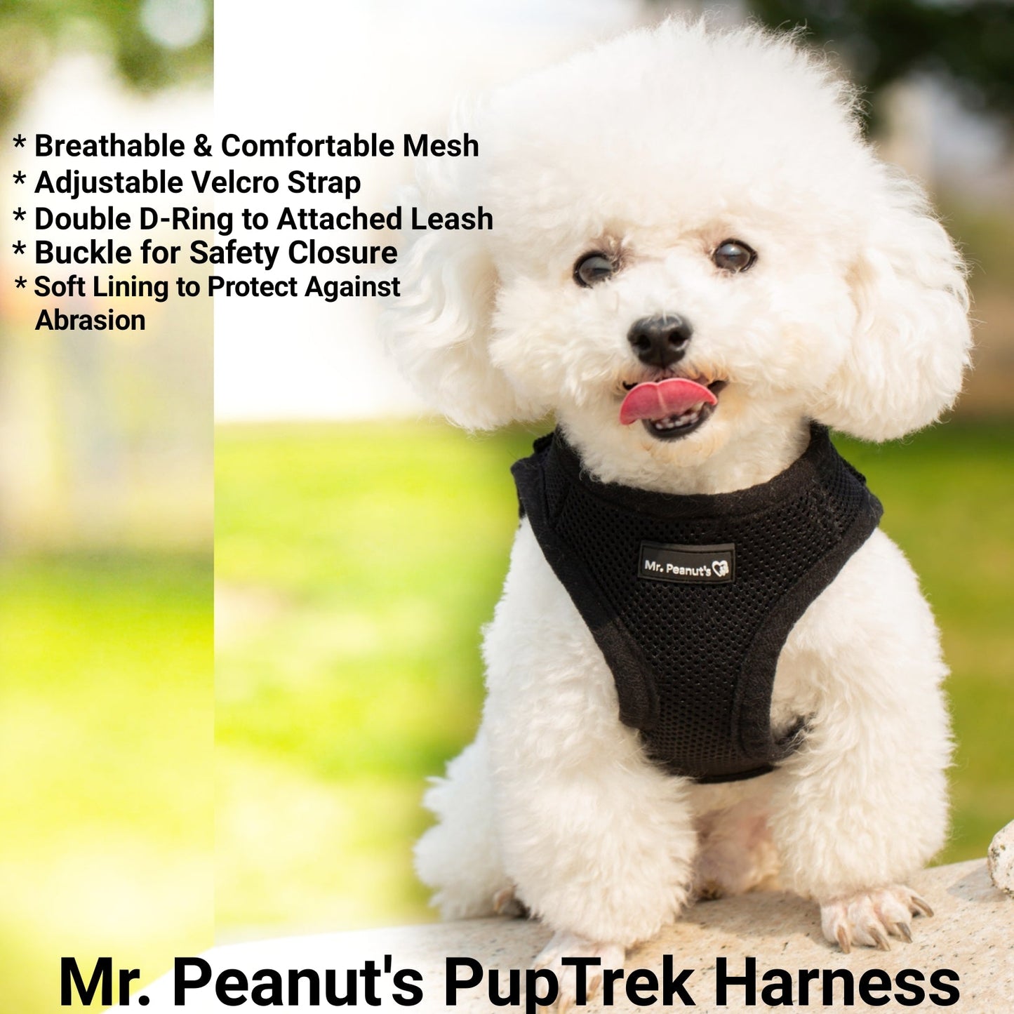 Soft Mesh Pet Harness with Matching Leash