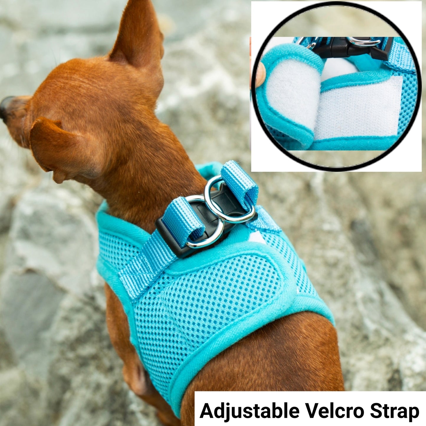 Soft Mesh Pet Harness with Matching Leash