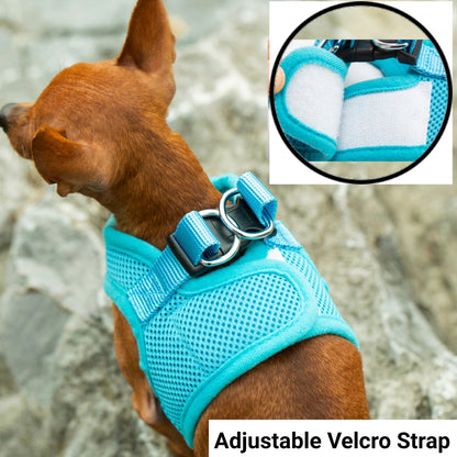 Soft Mesh Pet Harness with Matching Leash