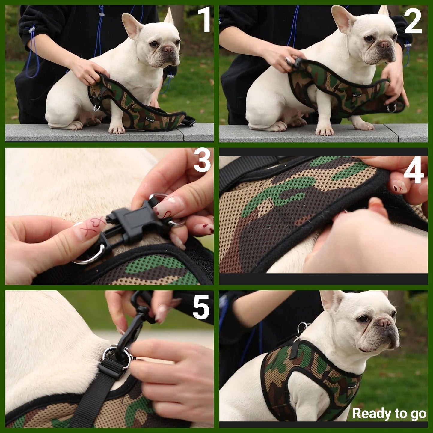 Soft Mesh Pet Harness with Matching Leash