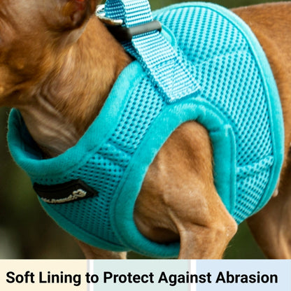 Soft Mesh Pet Harness with Matching Leash