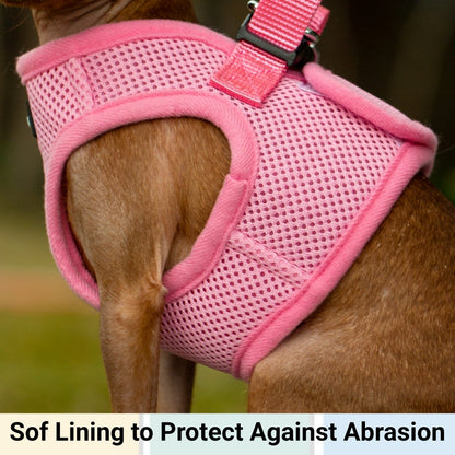Soft Mesh Pet Harness with Matching Leash