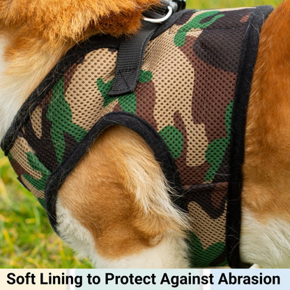 Soft Mesh Pet Harness with Matching Leash