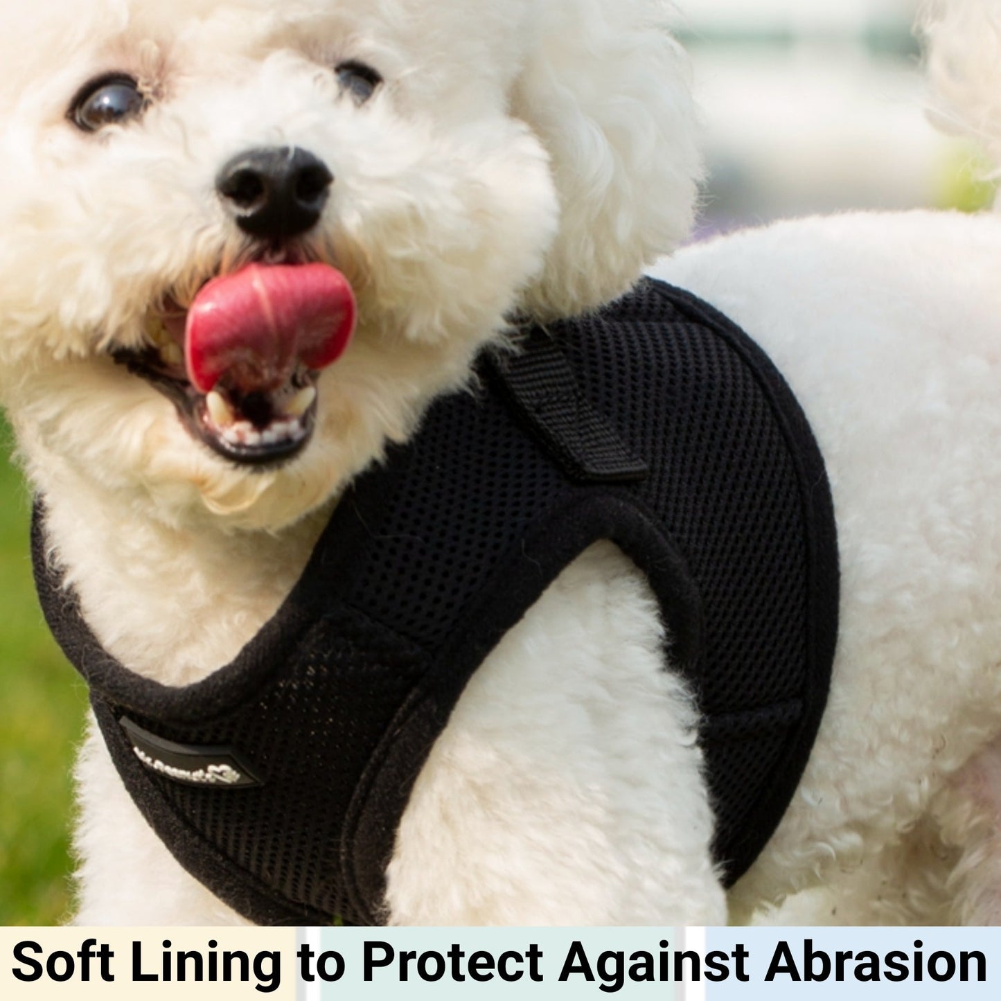 Soft Mesh Pet Harness with Matching Leash