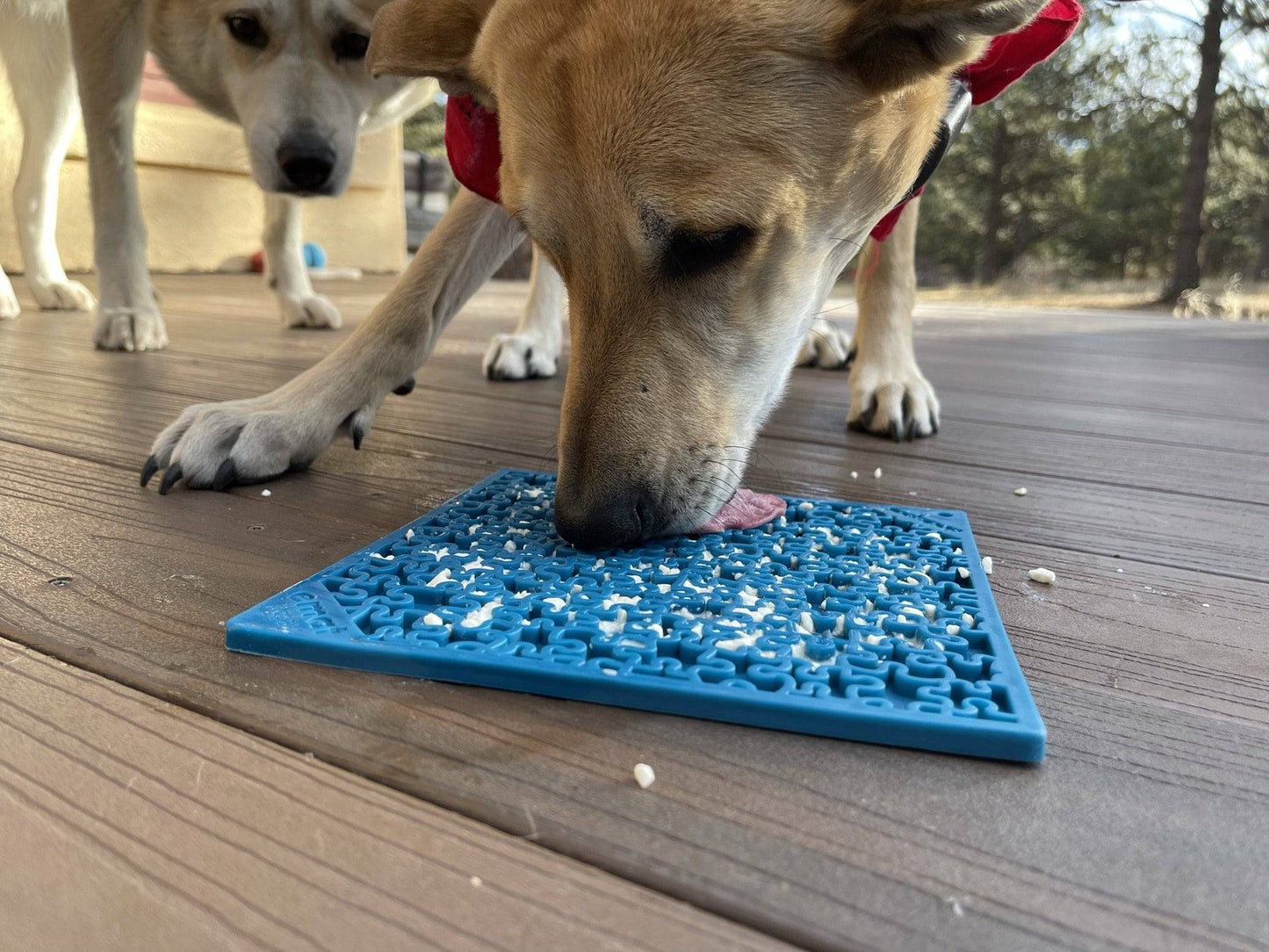 Jigsaw Puzzle Lick Mat