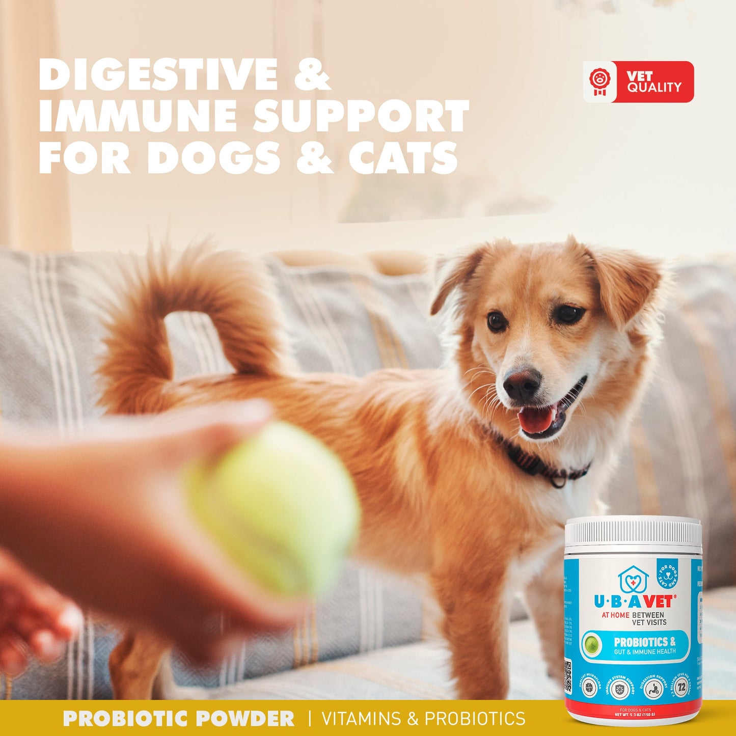 Probiotics & Gut + Immune Health Support for Dogs & Cats