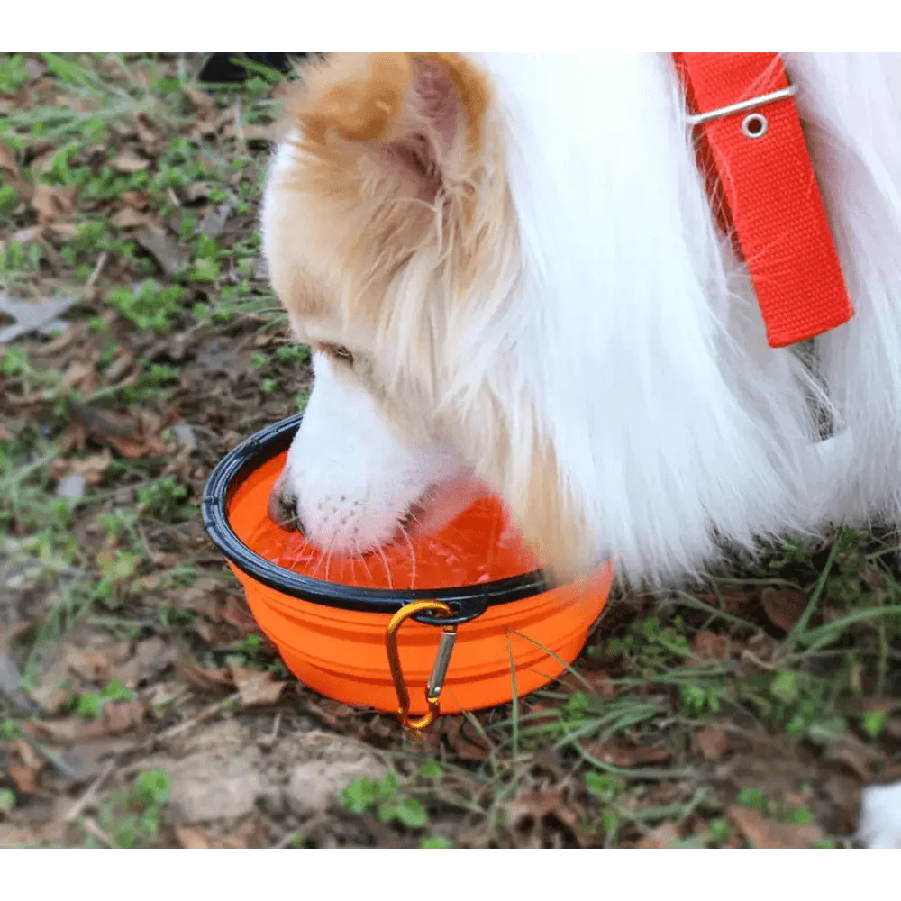 Universal Collapsible Silicone Dog Food Water Bowl