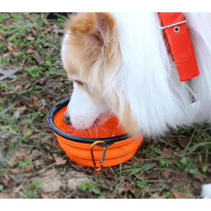 Universal Collapsible Silicone Dog Food Water Bowl
