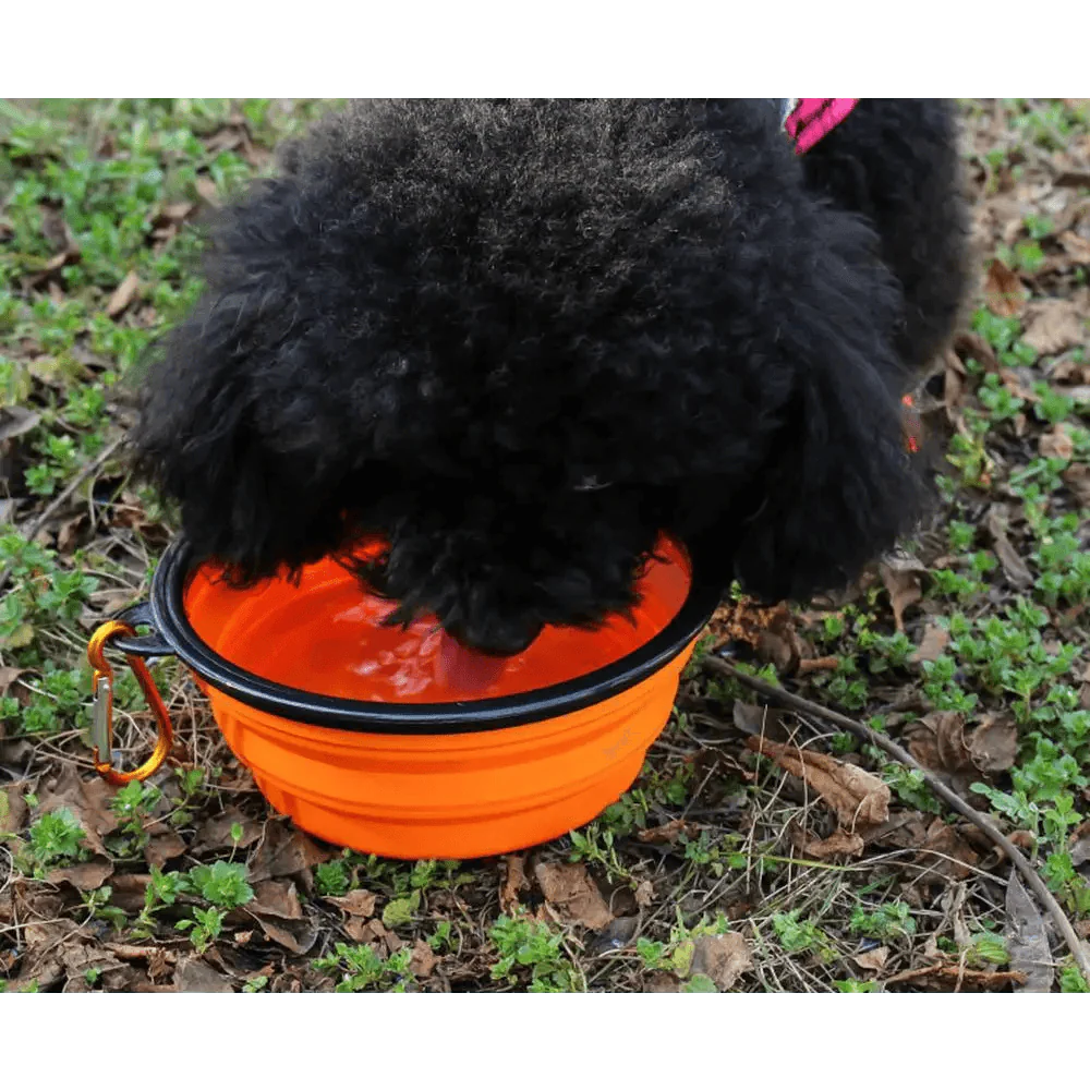 Universal Collapsible Silicone Dog Food Water Bowl