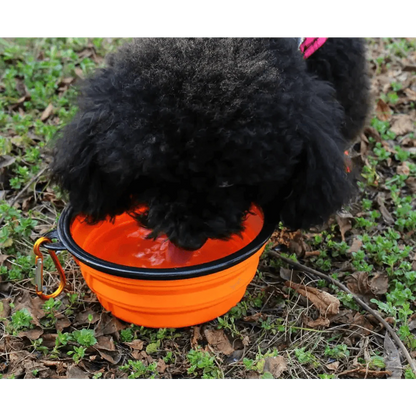 Universal Collapsible Silicone Dog Food Water Bowl